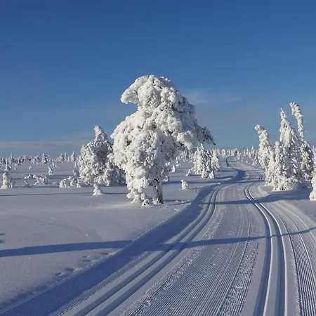 Reven - Natur & Ski - 3 Soverom - 60 Min Osl Pensionat